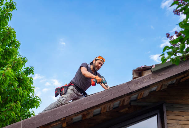Best Roof Moss and Algae Removal  in Troy, MO